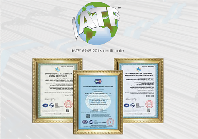 DEVELOPING A SUSTAINABILITY QUALIFICATION